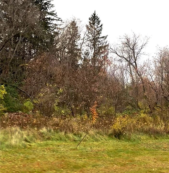 1st image of LOT 24 Wilderness Hills Lane