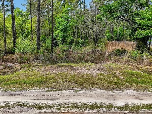 10065 Hennessey Ave, Hastings, FL 32145