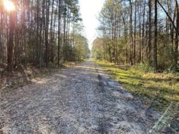 LOT 11 Niblick St, Abita Springs, LA 70420