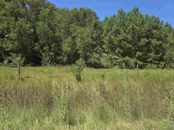 0 Stonewall Rd, Sour Lake, TX 77659