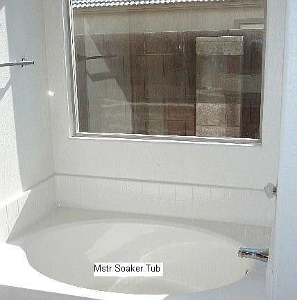 Master Soaking Tub