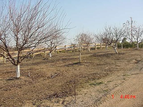 Fruit Tree Orchard