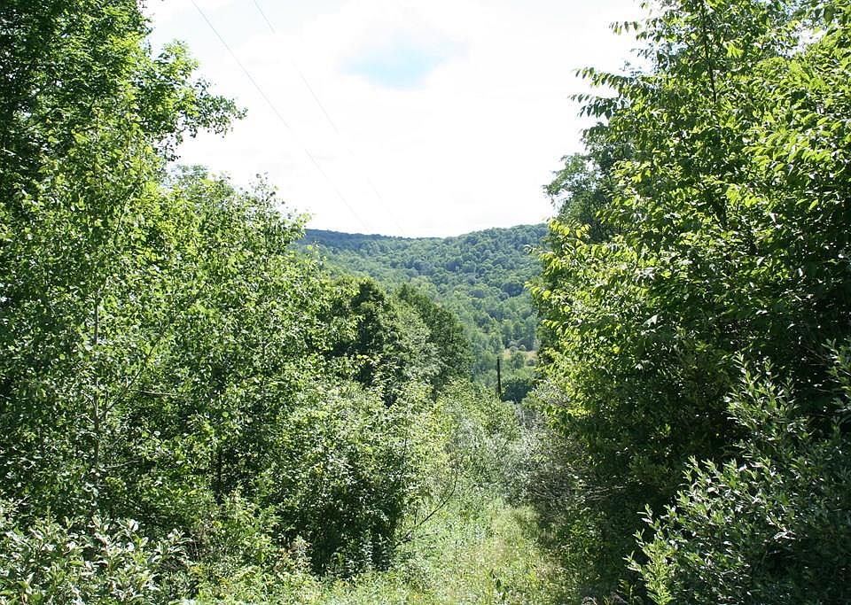 0 Foster Rd, Sabinsville, PA 16943 Zillow