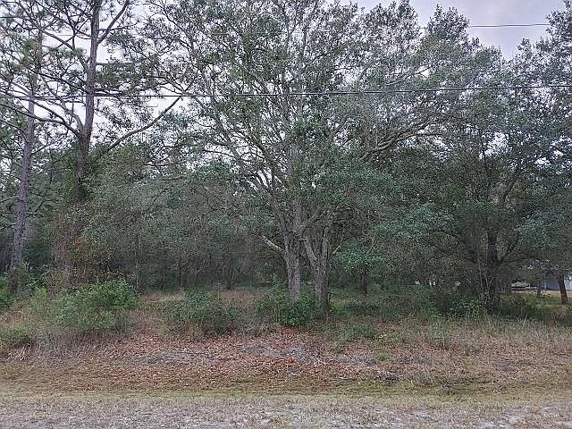 1st image of 132 Putnal St