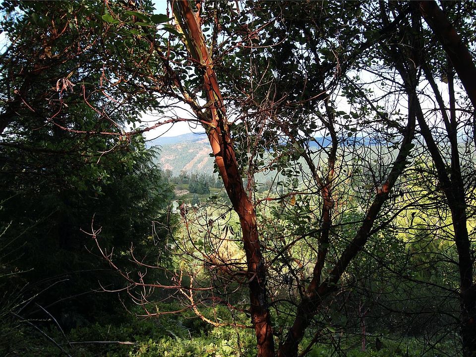 1st image of LOT 29 Goldstream Heights Dr