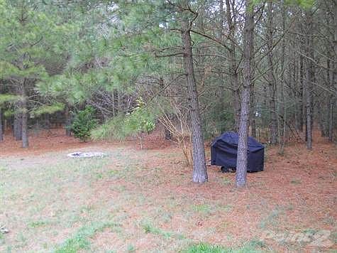 Back Yard 2