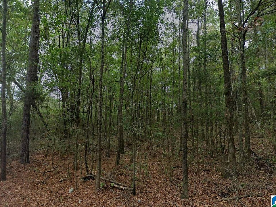 2nd image of Holland Finley Rd #X