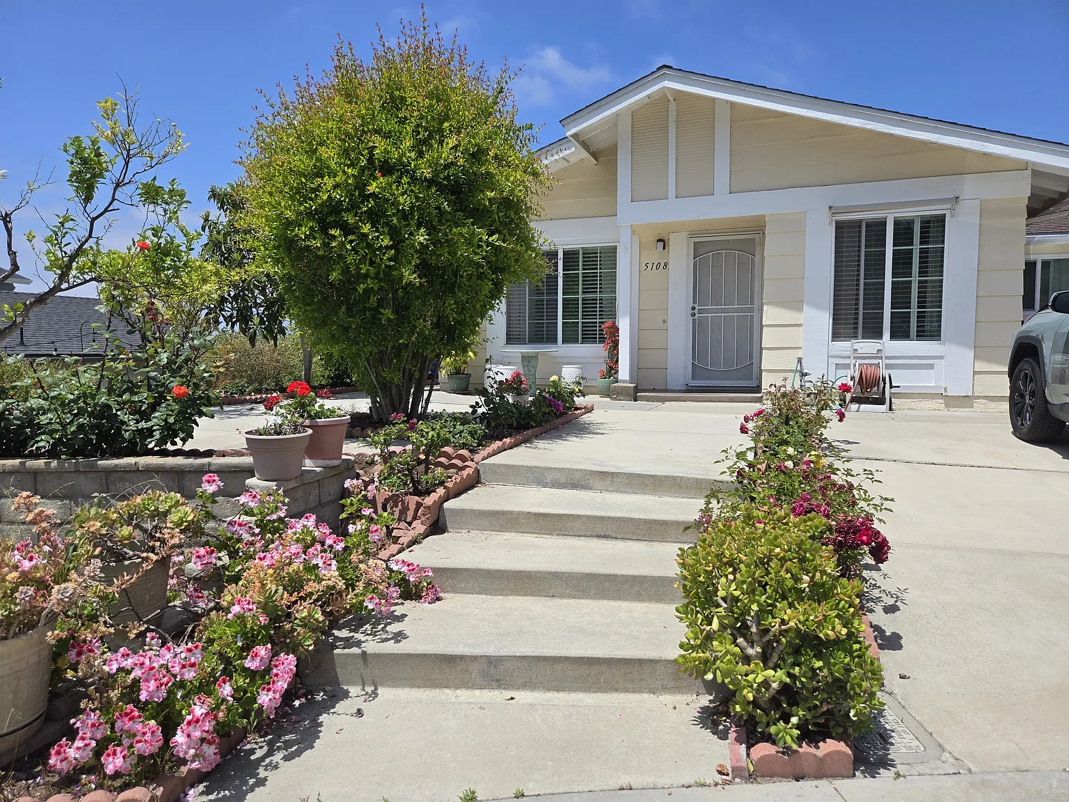 2 bed, 977 sqft, $3,000 — Photo 2