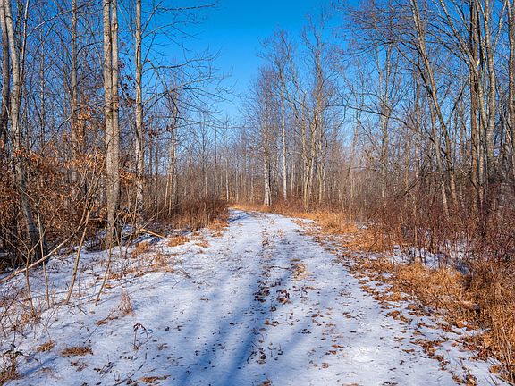 5th image of 5290 Bedford Creek Rd Lot 1