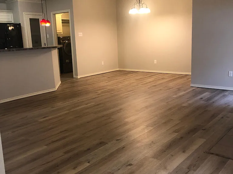 Living/Dining area