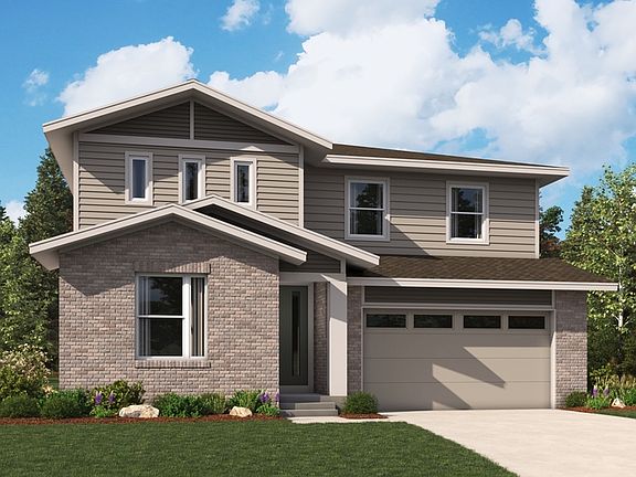 The Ammolite Elevation D