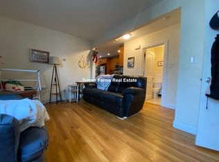 11F Leverett St #3F, Brookline, MA 02445