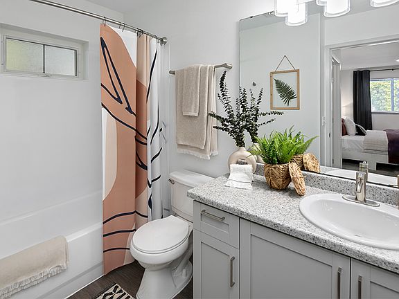 Large bathroom attached to main bedroom