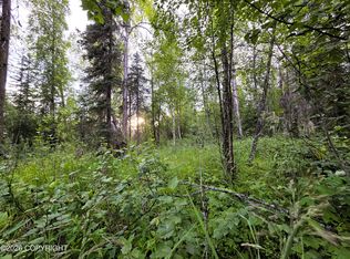 14403 E Lichtenwalner Rd, Talkeetna, AK 99676