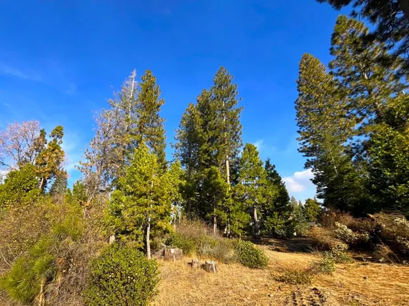 39593 Sunset Rock #46, Shaver Lake, CA 93664