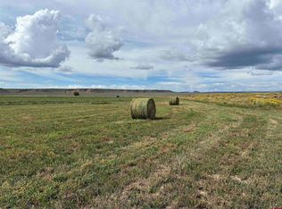 TBD County Road 12.5, Antonito, CO 81120