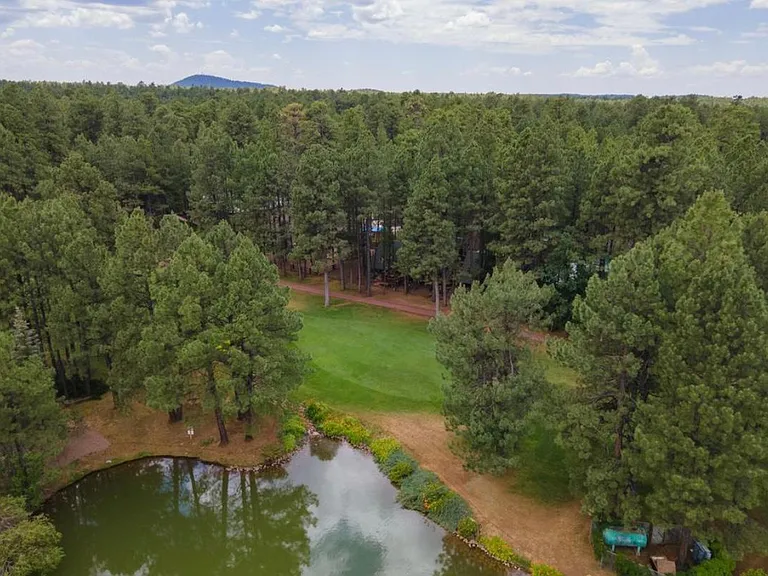 Deep Forest Dr — Photo 3