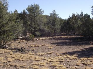 1234 E Kruger Long Rd #559, Williams, AZ 86046