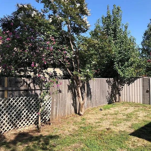 2212 Norwich St — Photo 5
