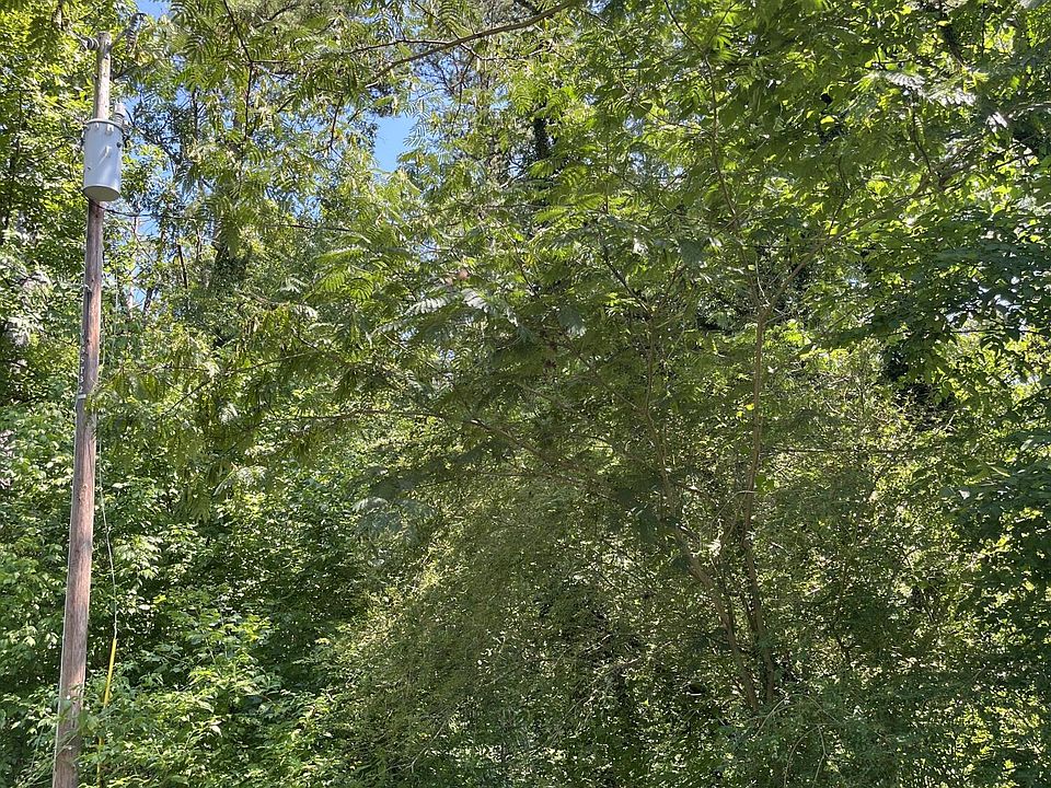 1st image of 0 Melba Dr