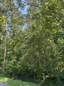 0 Melba Dr, Trion, GA, 30753