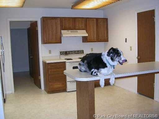 4th image of 4824 S Holladay Blvd #230