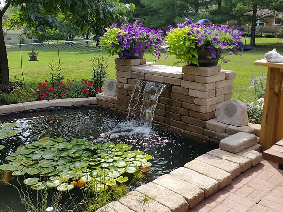 Koi Pond