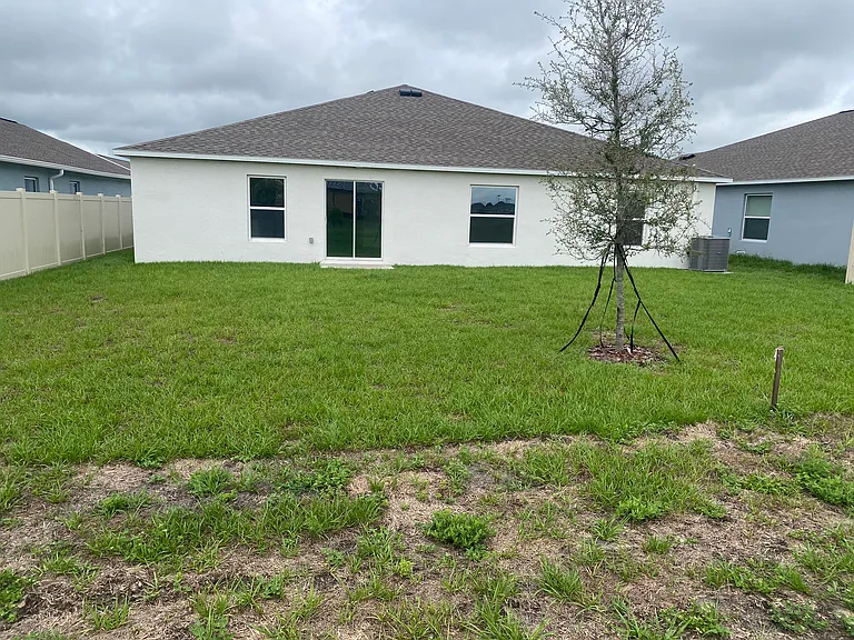 REAR YARD