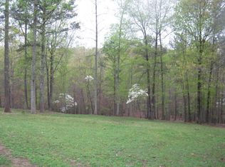 9326 W Banks Mill Rd, Winston, GA 30187