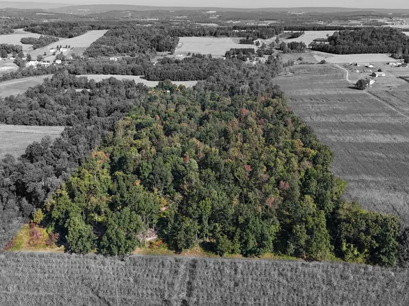 293 Irish Valley Rd, Paxinos, PA 17860