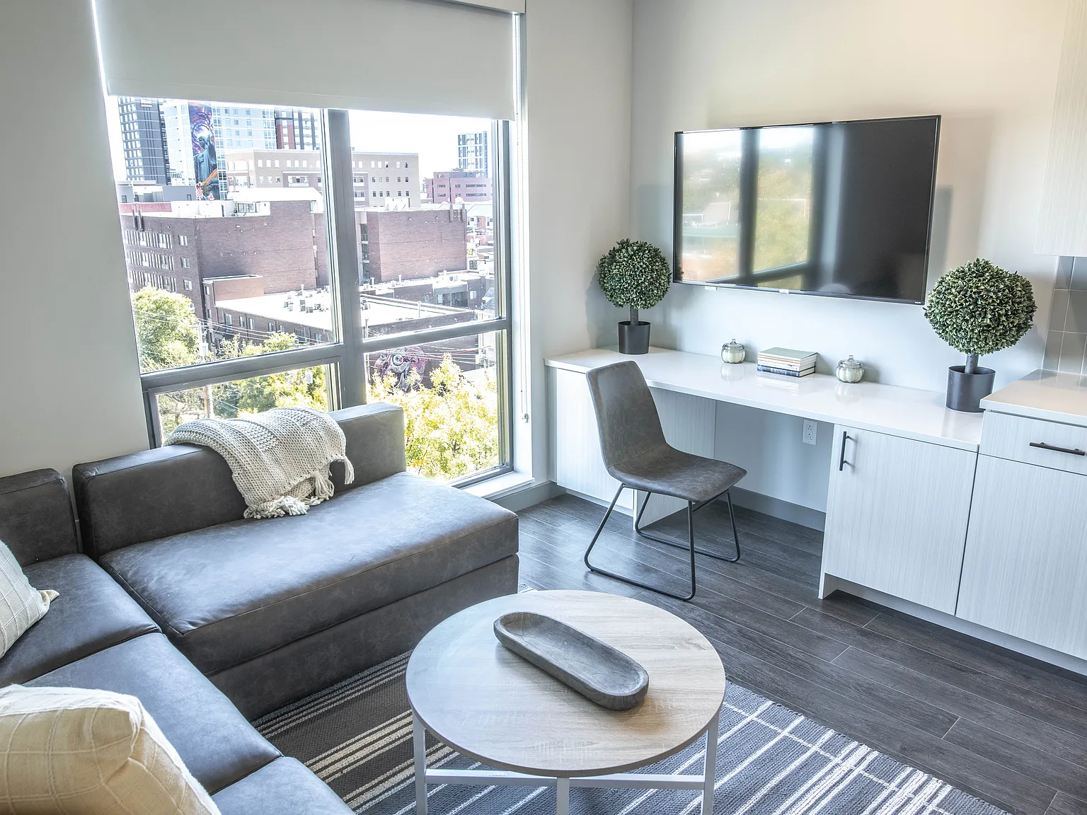Studio, 481 sqft, $1,350 — Photo 1