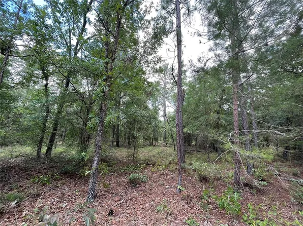 6101 Juilliard Ave #11, Keystone Heights, FL 32656