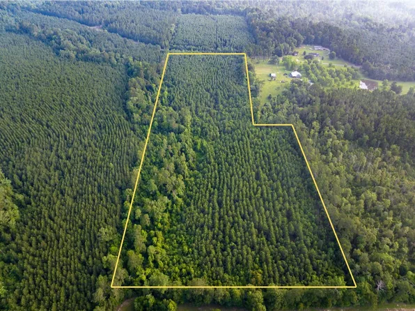 Dido Loop, Pitkin, LA 70656