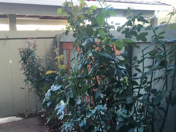 475 Peerless Way APT 3, Tracy, CA 95376