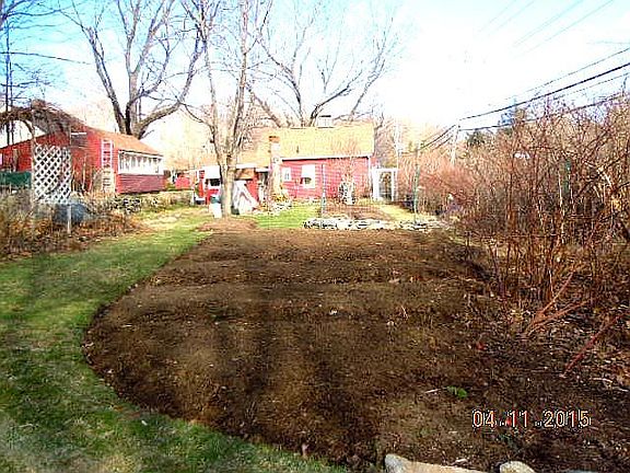 Part of back yard