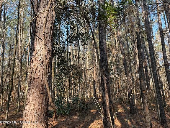 5th image of Railroad Ln