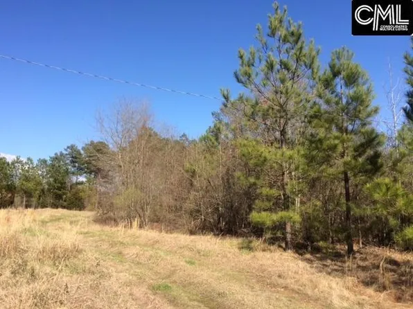 Highway 378, Leesville, SC 29070
