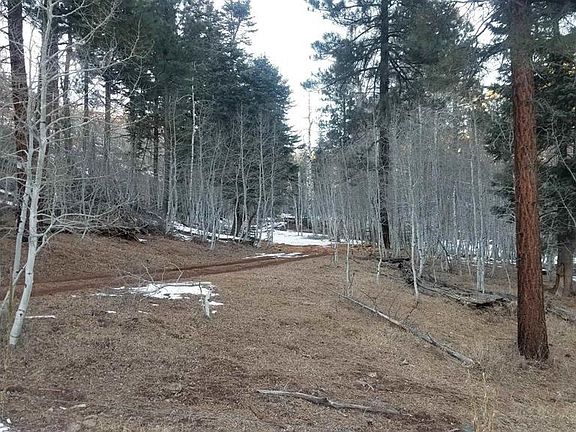 3rd image of TBD County Road 501