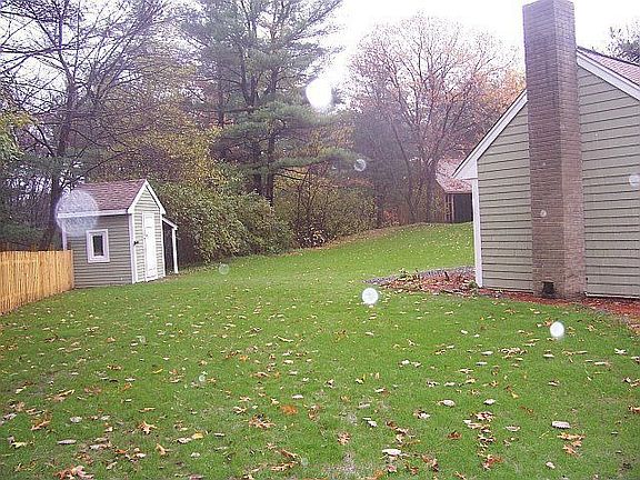 View of Back Yard