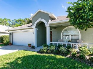 12521 Deerberry Ln, Tampa, FL 33626