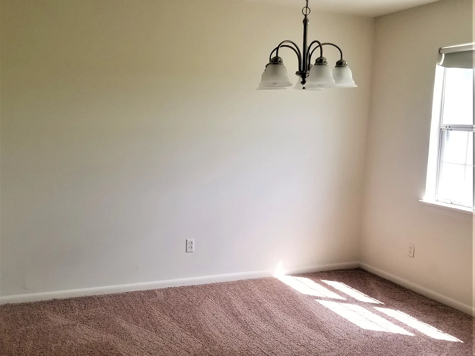 3 bed, 1.5 bath, 1362 sqft, $1,400 — Photo 3