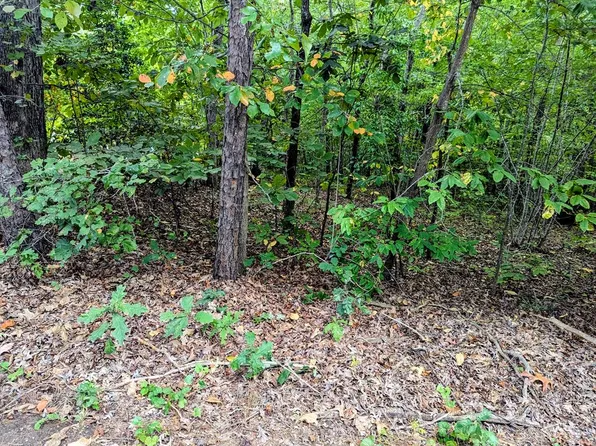 1000 Martin Ln, Boydton, VA 23917