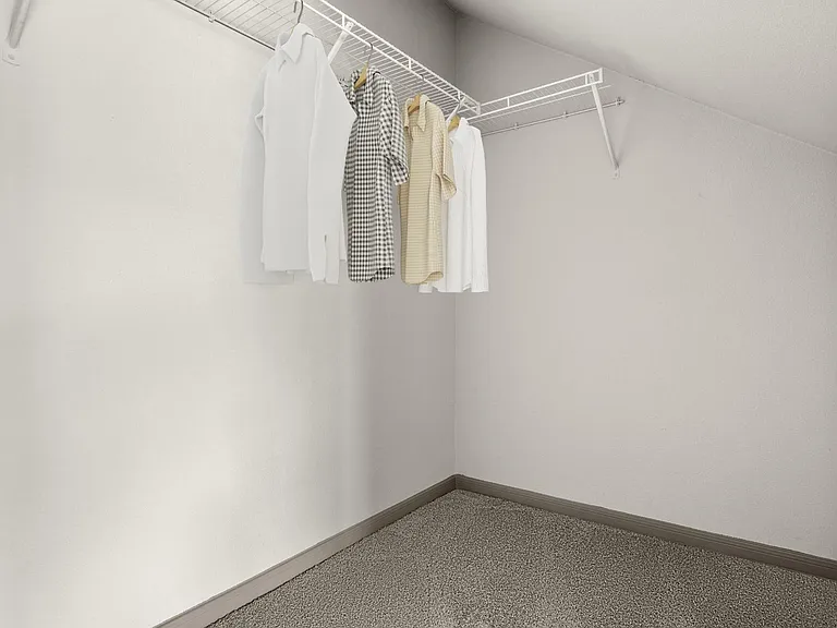 Avenues at Northpointe - Walk-in Closet