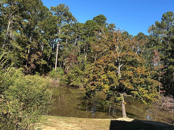 3rd image of 1411 Serenity Creek Drive