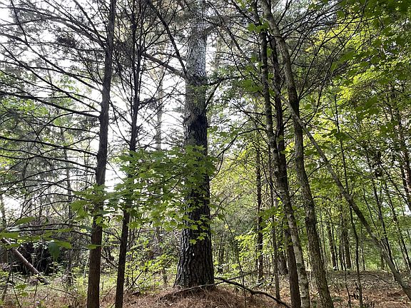 4th image of 0 Waters Rd