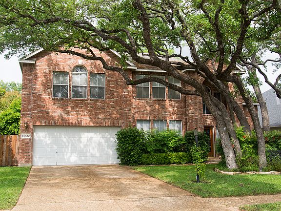 Beautiful Majestic Oak Trees