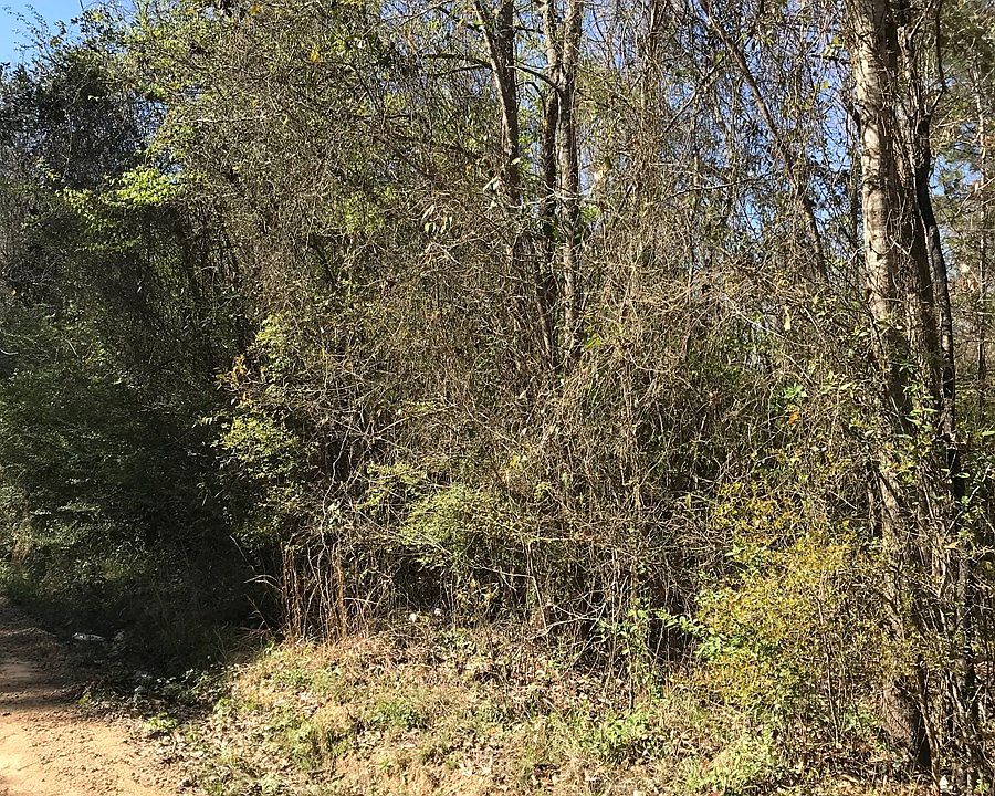 2nd image of Forest Trl NE