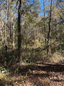 17091 N Highway 329 #9, Reddick, FL, 32686