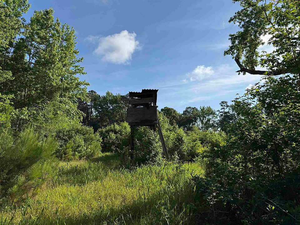 1st image of 81.67 Acres - Twin Church Rd