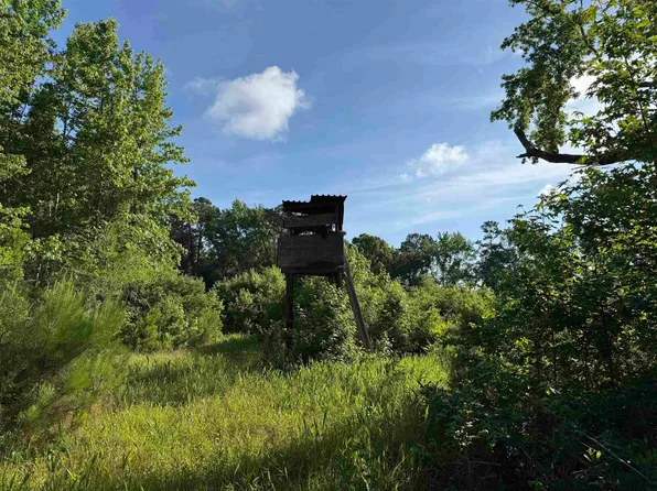 81.67 Acres - Twin Church Rd, SC 29161